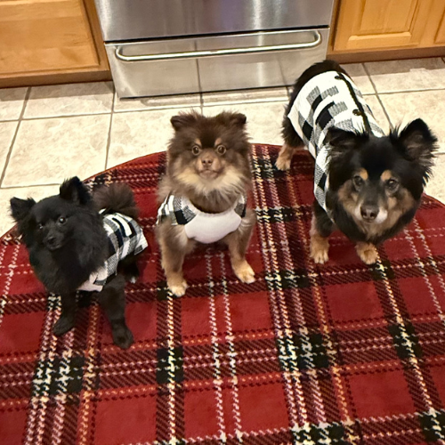 The Family Pack God Gave Me