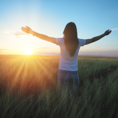 When Wellness Becomes Worship