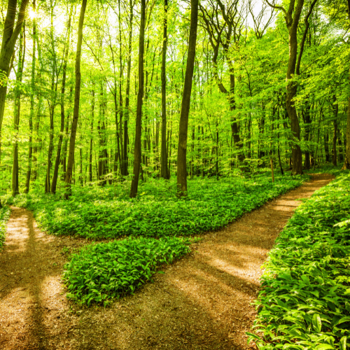 The Road That Leads to the Well - Part 2