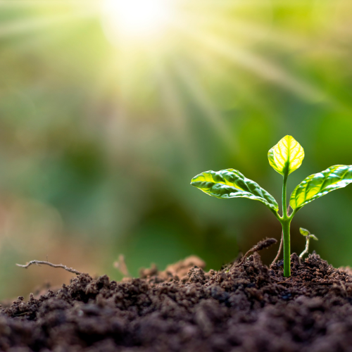 Providence and the Goodness of God: Finding Peace in His Plan